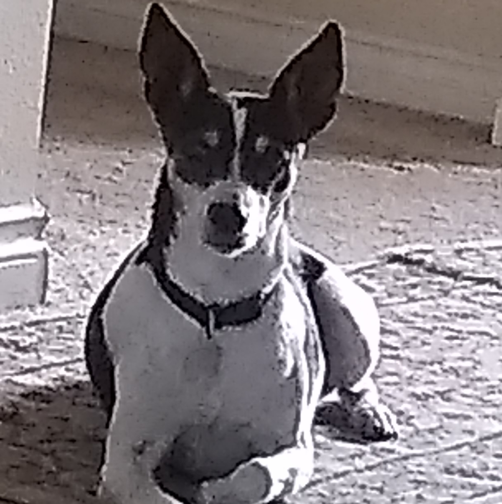 Meet your Posher, Sue